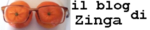 il blog di zinga